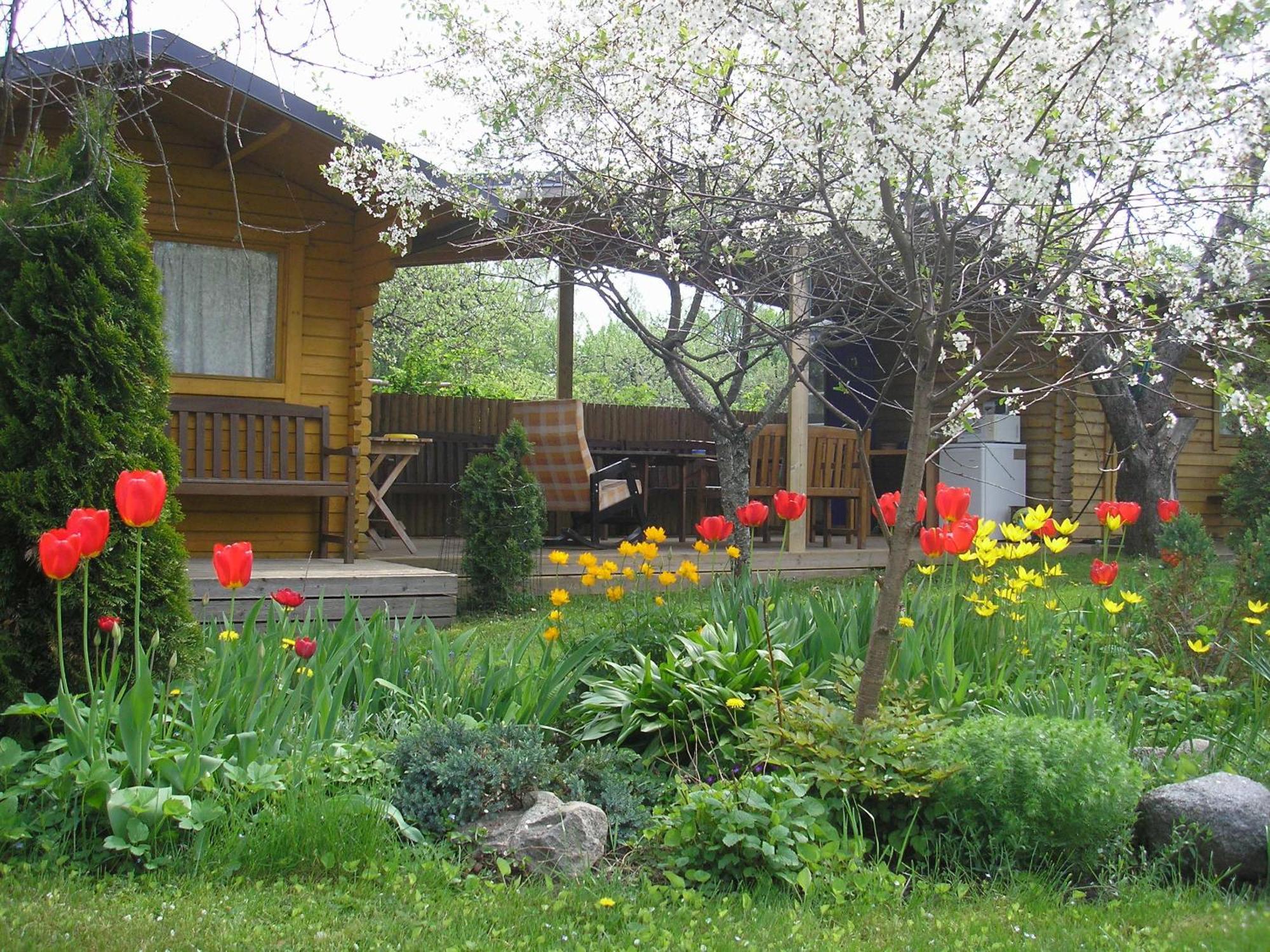 Kaare Guesthouse Viljandi  Exteriör bild